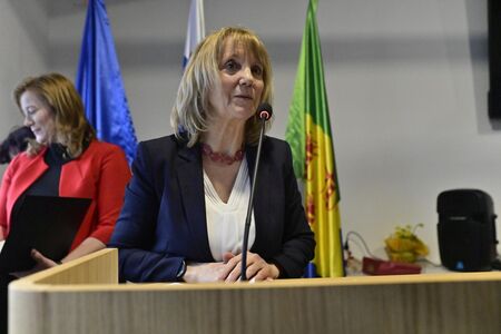 Deseta državna razstava strukljev (23)